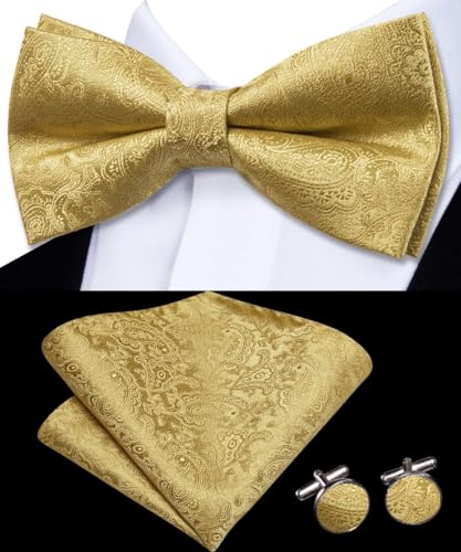 Image of Dubulle Mens Paisley Striped Bowtie Set Pre-tied Bowtie for Men and Pocket Square Set Wedding Business