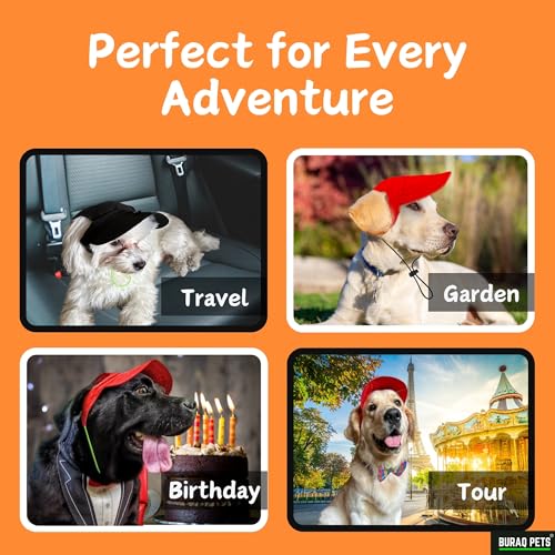 Image of Buraq Pets Dog Baseball Cap, Pet Sun Hats with Ear Holes, Sport Hat for Medium, Large, Doggies Adjustable Drawstring Puppies, Cats, Visor Hat (Black, M)