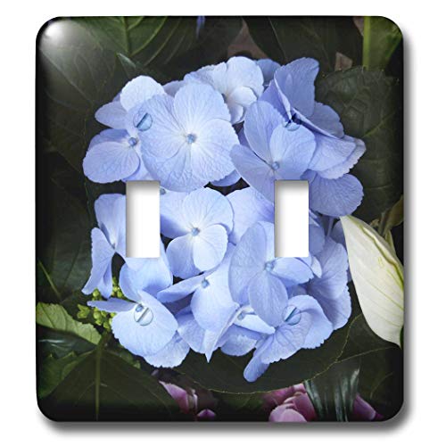 Interrupteur double à bascule hortensia bleu 3dRose lsp_40837 pour decoration