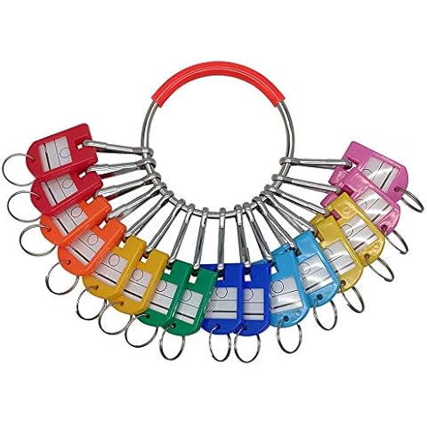 LABEN Portable Metal Ring Key Organizer with 16 Spring Hooks & Key Tags with Ring and Label Window Cover