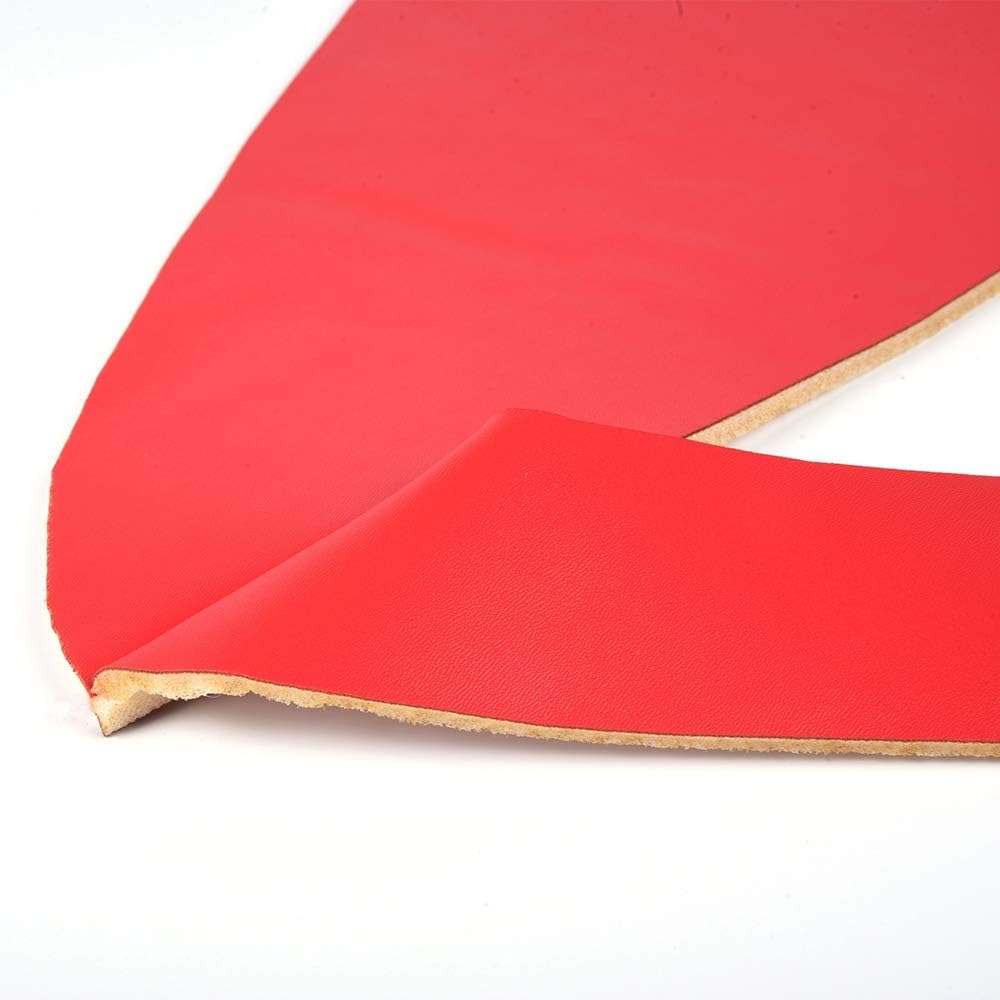 PIT66 Armrest Door Panel Insert Cards Cover,Compatible with 2005-2009 Ford Mustang Red