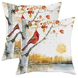 Photo Gallery square federe fall cardinal bird autumn birch tree leaves set of 2 morbida federe cuscini per Photo Gallery square federe fall cardinal bird autumn birch tree leaves set of 2 morbida federe cuscini per