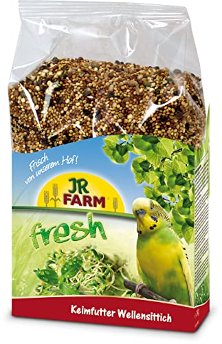 Gibt Es Noch Trill Vogelfutter