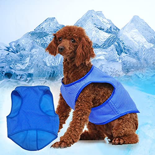 Dog Cooling Vest, Small, Blue