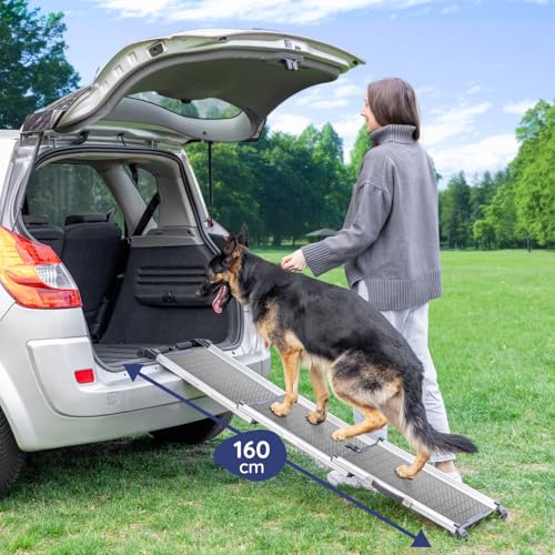 Hunderampe Auto Klappbar- Teleskop Alu Rampe für große Hunde - Stabile Hundetreppe Auto & SUV - rutschfest - Reflektierende Seiten - Hundeleiter Auto - 90kg Belastbarkeit - Befestigungsclip - Grau