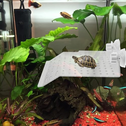 PENIKOKO ^ANJpvbgtH[ ϋvf ȒPݒu Ή v ঒ރeX ঍sXe[W