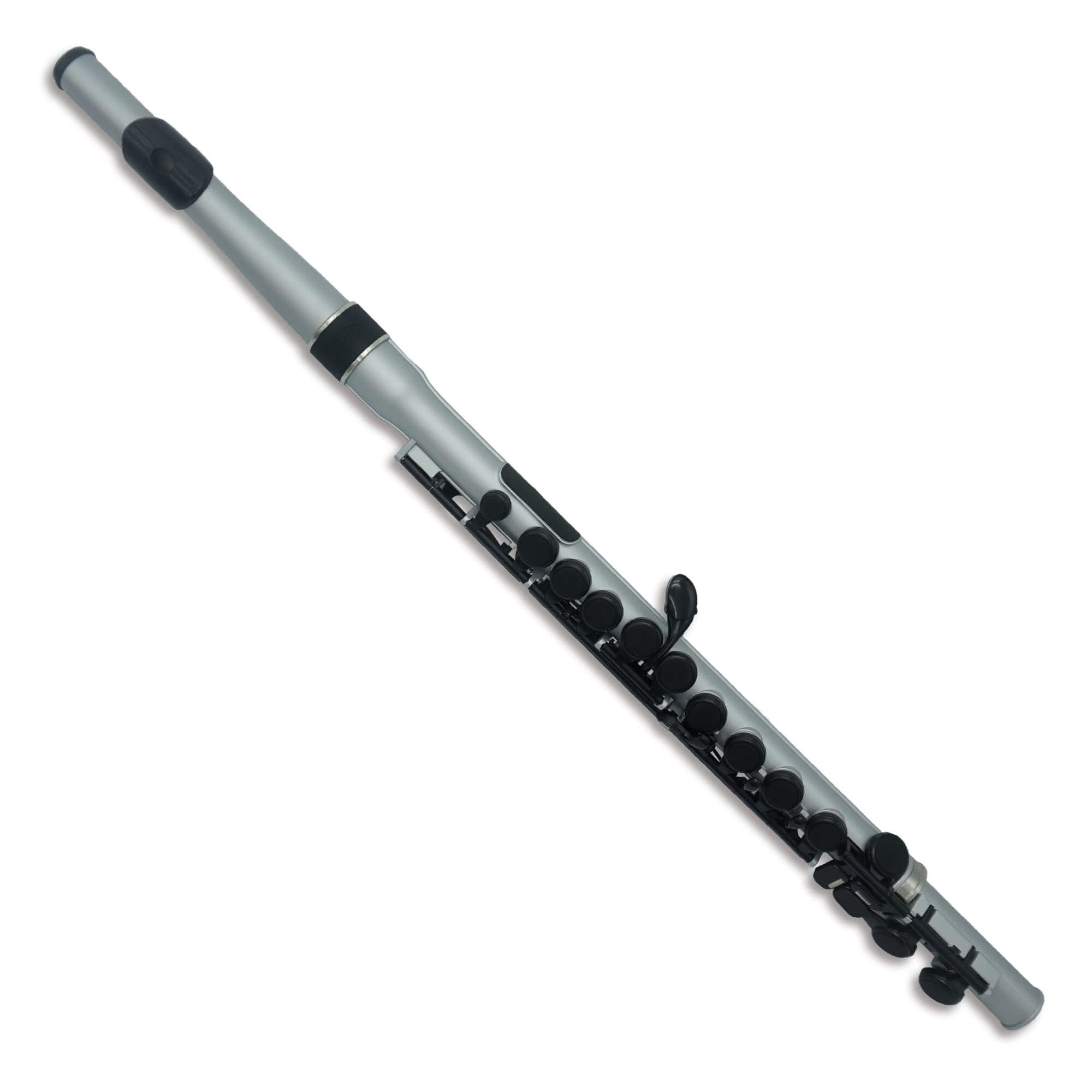 Flauto Traverso Strumento per flauto per principianti con flauto in plastica