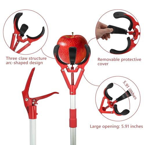 Pértiga telescópica para recoger fruta ajustable 54-88 pulg miniatura 4