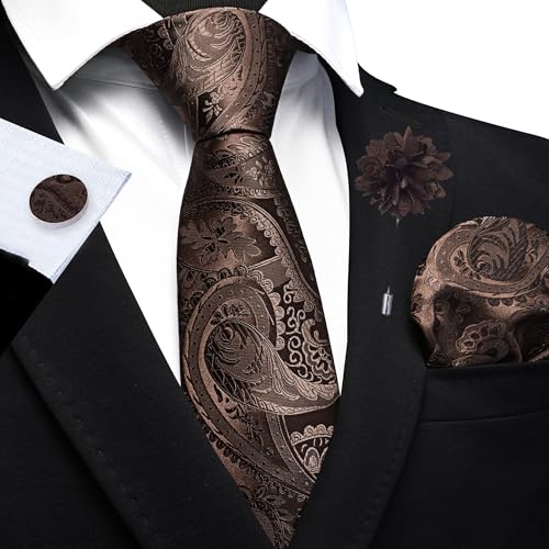 Image of GUSLESON Paisley Tie Set for Men 3.15 inch Necktie Lapel Pin Hankerchief Cufflinks Set for Men