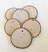 Wood Slices medium - Predrilled 20 - 2" to 2.5" in diameter