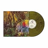 Thought Form Descent [Vinyl LP]
