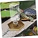 BESPORTBLE Automatic Reptile Water Feeder Dish Compact Corner Water Bowl for Tortoises Lizards and Geckos Continuous Supply and Easy Maintenance for Reptile Tanks Design