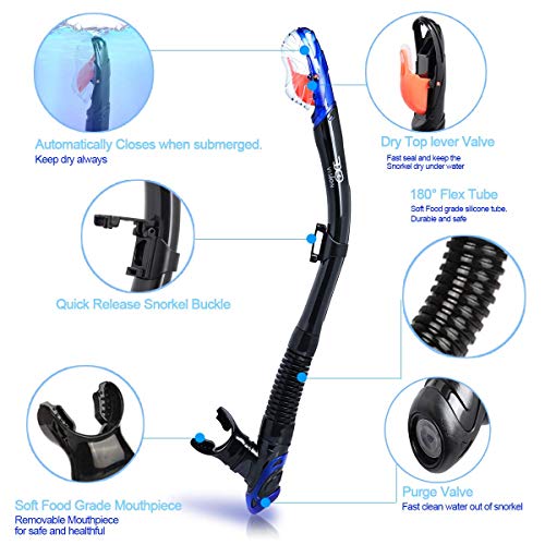EXP VISION Set de Snorkel con Máscara de Snorkel Dry Top Anti-Fugas para Mujeres y Hombres, Máscara de Buceo con Vista Panorámica de 180° y Lentes de Vidrio Templado Antivaho miniatura 4