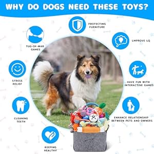 Puppy Chew Toys for Teething, 26 Pack Dog Chew Toys Puppy Teething Toys, Interactive Dog Rope Toys with Bin, Dog Toys for Small & Medium Dogs