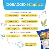 Zoom IMG-2 albagarden ossicloruro di rame 30