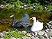 Produktbild 2 x Schwan XXL wunderschön für Garten Deko Teich & Brunnen Kunststoff in Schwarz und Weiss