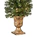 National Tree Company 4 ft Pre-Lit Montclair Spruce Mini Artificial Christmas Entrance Tree, 50 Clear Lights, 140, Pedastal Urn Base, Green