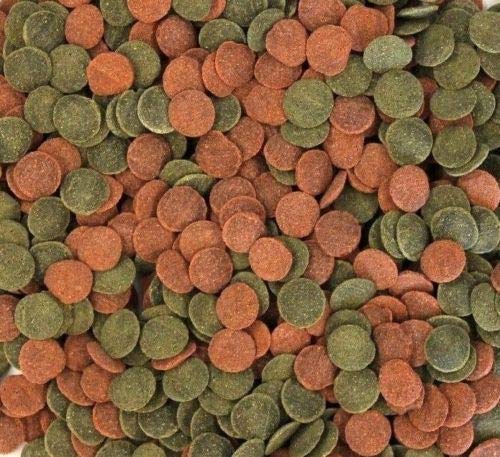 Wohnkult - Mini Wafers Spirulina Color e Mix per tutti i corydoras e abitanti del suolo, gamberetti, gamberetti, UVM. Top mangime per pesci (5000 ml in secchio)
