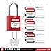 TRADESAFE Lockout Tagout Locks Set, 10 Red Keyed Alike Unlimited Grouping Safety Padlocks, 2 Keys Per Lock, OSHA Compliant Loto Locks for Lock Out Tag Out Kits