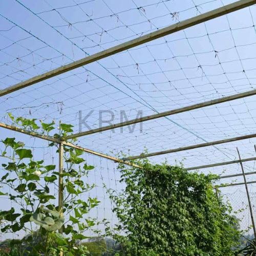 KRM Creeper Net, Plant Climbing net, Creeper Plant Support net for Agriculture and Gardening -7Feet x 15 Feet (2.1mX5m) with 4mm Thick Rope (35 feet) (B0CY914KFC) Amazon Price History, Amazon Price Tracker