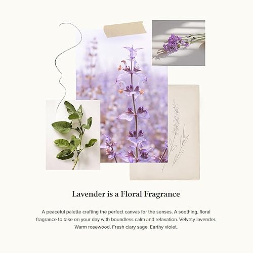 Miniatura 3 de Thymes Recambio de lavado de manos de lavanda, jabón líquido perfumado para manos, nutritivo y ligeramente perfumado, ideal para la limpieza diaria,
