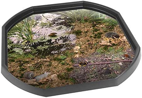 British Wildlife & Minibeasts Vinyl Tuff Tray Insert - 86 x 86 cm - Ideal for Large Tuff Spot Tuff Tray - Tuff Tray NOT Included