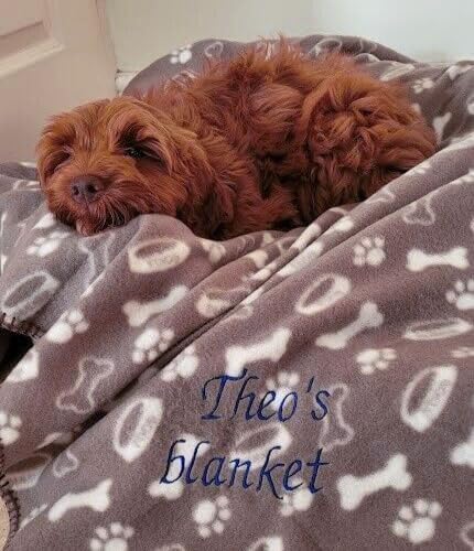 RochaCasa Personalised Dog Gift Blanket with Embroidered Name