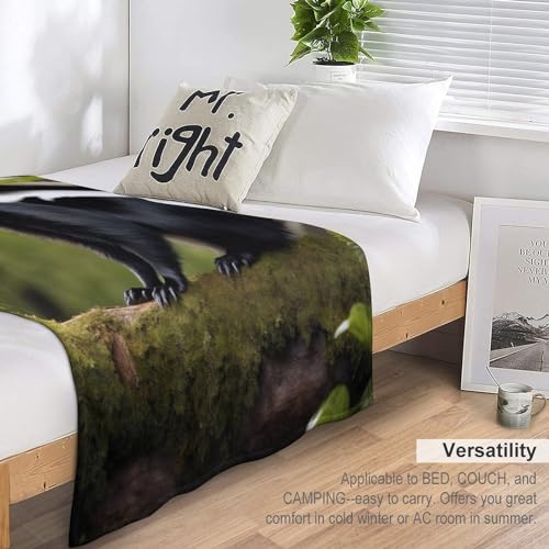 Plaid polaire canapé mouffette couverture en flanelle de 180x200cm pour lit et salon