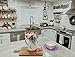 Safe Grabs: Multi-Purpose Silicone Original Microwave Mat as Seen on Shark Tank | Splatter Guard, Trivet, Hot Pad, Pot Holder, Minimize Mess (BPA-Free,Heat Resistant,Dishwasher Safe), Set of 2 Purple