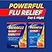 Theraflu Max Strength Daytime & Nighttime Flu Symptom Relief Honey Lemon Flavor Powder & Daytime Flu Symptom Relief Honey Lemon Powder, 6 Daytime + 6 Nighttime, & 6 Honey Lemon Flavor Powder Packets