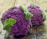 Seedeo Gemüse Raritäten