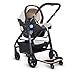 UPPAbaby CRUZ PiggyBack Ride-Along Board