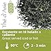 Imagen de Khla - Té de Jazmín Ecológico - 80 Piramidales Bolsitas - Frío o Caliente - Té Verde Chino - Té Floral y Aromático - Rico en Antioxidantes - Sueño