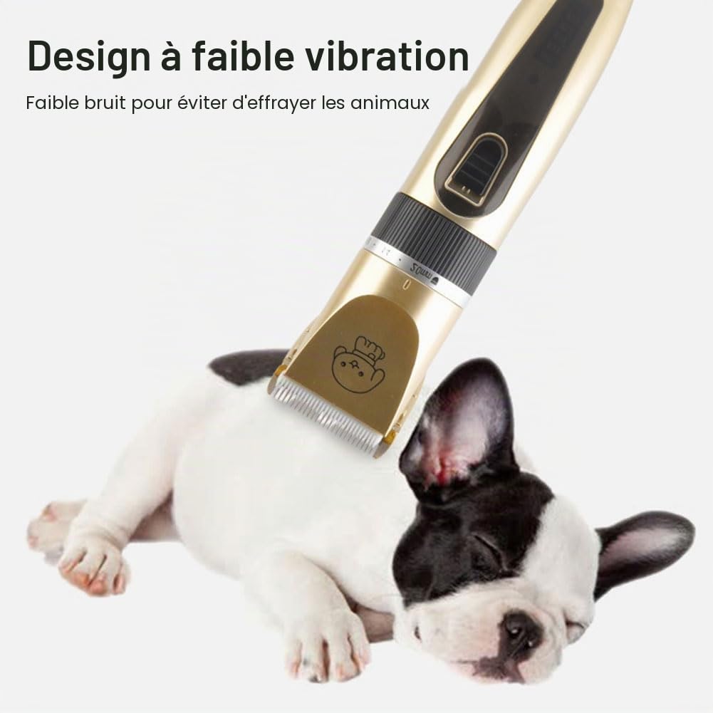 Tondeuse Chien Professionnelle Poil Long Epais Tondeuse Electrique Tondeuse pour Chien et Chats Rechargeable Tondeuse Sans Fil pour Animaux de Compagnie