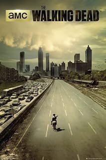 GB eye The Walking Dead City 61 x 91.5cm Maxi Poster