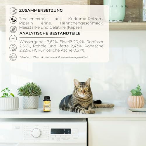 lamina care - Gelenk-Supplement für Hunde und Katzen – Kapseln mit Kurkuma & Piperin – Unterstützt Beweglichkeit, Gelenkfunktion & antioxidativen Schutz – 60 Kapseln