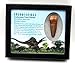 Spinosaurus Dinosaur Tooth Fossil 2.089 inch w/Info Card 17901