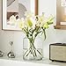 KOIUEYW Clear Vases for Centerpieces, 9 Inch Large Glass Vase for Bouquet, Glasses Home Decor Modern Jarrones Decorativos for Wedding Living Room Dining Table Office