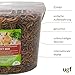 UGF - Insektenmischung - 500g im 3 Liter Eimer, Igelfutter, Rennmausfutter, Hamsterfutter, Rattenfutter, Eidechsenfutter - Mehlwürmer, Soldatenfliegenlarven, Seidenraupen