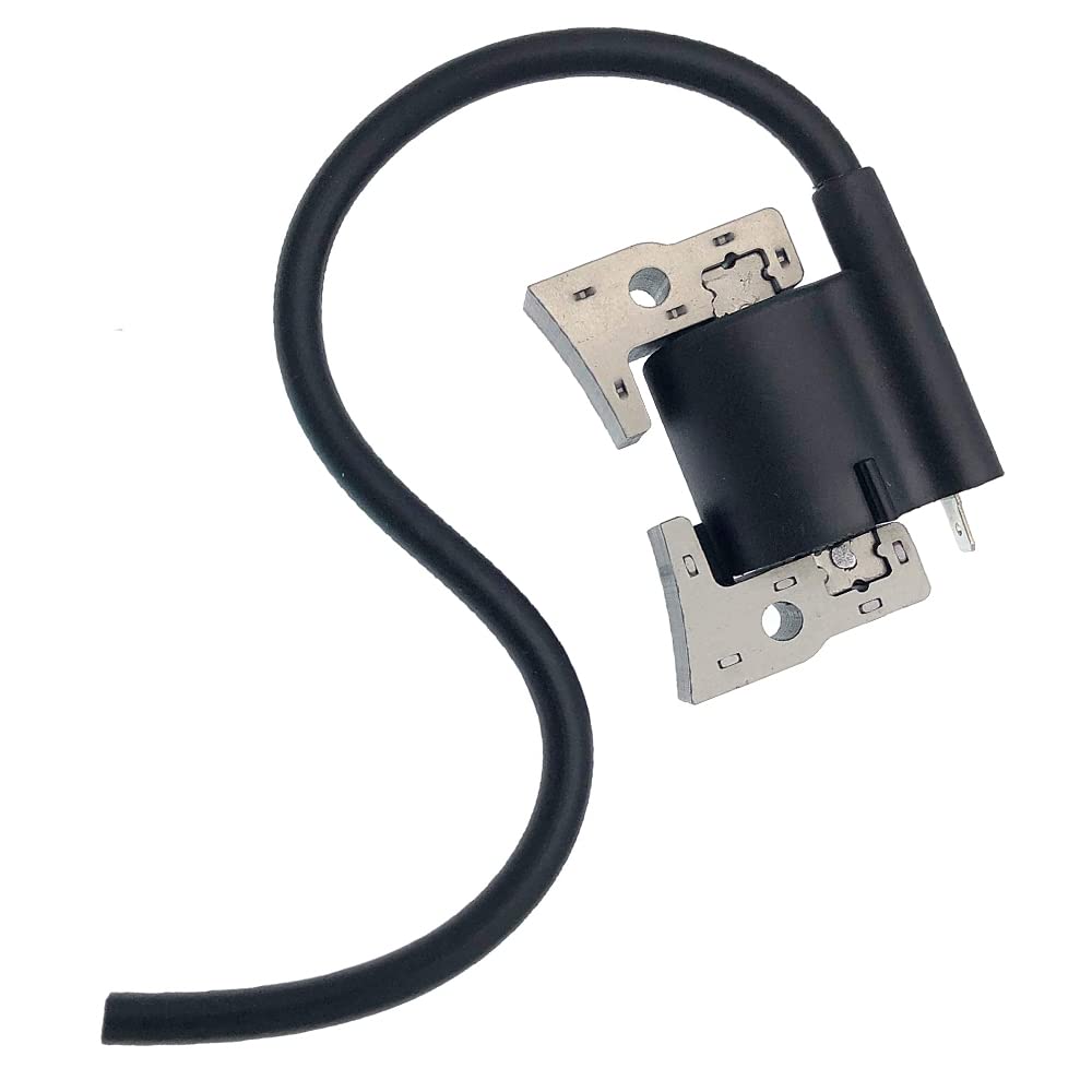 Realman 21121-2067 211212067 Module de bobine d'allumage pour moteurs Kawasaki 4 temps FE250D FE290D FE350D FE350G GE4000A GE4300A GE4500A GE5000A GEF00A GER30A