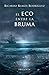 El eco entre la bruma - Ramos Rodríguez, Ricardo