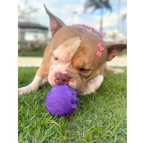 Pet Games Bolinha Recheável Macaquinho Laranja Tamanho Médio Para Cães