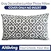 Aitliving Throw Pillow Cover Decorative Lumbar Pillowcase Grey Silver and White 12X20 1PC 30x50cm Mina Gray Silver Embroidered Trellis Cotton Canvas Summer Bolster Pillow Cushion Shell