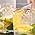 Yankee Candle Sicilian Lemon Scented Classic 22oz Large Jar Single Wick Candle Over 110 Hours of Burn Time Perfect for Home Decor Parties and Gifts