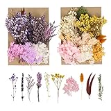 trockenblumen wien ❀ Bastelzubehör❀ - Die gemischten Trockenblumen eignen sich für alle Arten von DIY-Produktionen, nutzen Sie Ihre Fantasie, um Grußkarten, Handyhüllen, Lesezeichen, Scrapbooks, Albenrahmen, materielle Geschenkboxen, Epoxy-Schmuck, Duftkerzen, schwimmende Flaschen, gepresste Blumen, Harzformen, Glasabdeckungen und vieles mehr herzustellen!
