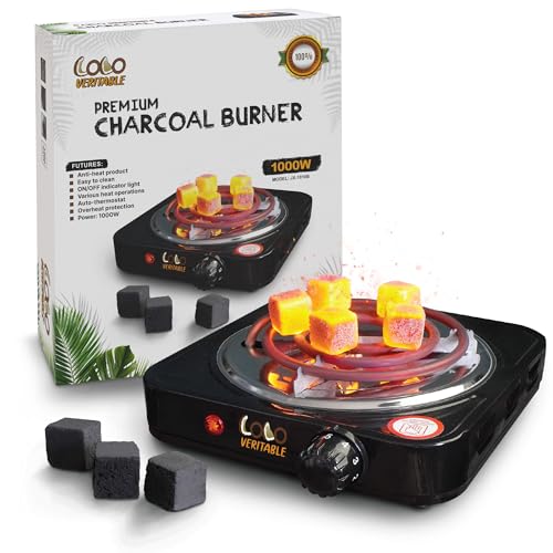 Allume Charbon, 1000W, Indicateur Lumineux, Protection Contre la Surchauffe, Noir