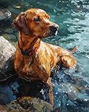 Paint by Numbers Kit for Adults Beginner: Paint by number is a very suitable art activity for beginners because it is simple and fun. By matching the pigments with the numbers on the canvas and filling the corresponding colors into the numbered areas...