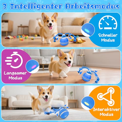 Interaktives Hundespielzeug, Interaktiver Spielball für Hunde, Interaktiver Spielball, Hundeball Elektrisch Ball mit Schwanz 3 Kauschnüren,Intelligente Hundespielzeug Ball für Kleine Hunde Welpen