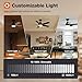 addlon Ceiling Fans with Lights, 42 inch Black Ceiling Fan with Light and Remote Control, Reversible, 3CCT, Dimmable, Noiseless, Small Ceiling Fan for Bedroom, Farmhouse, Indoor/Outdoor Use