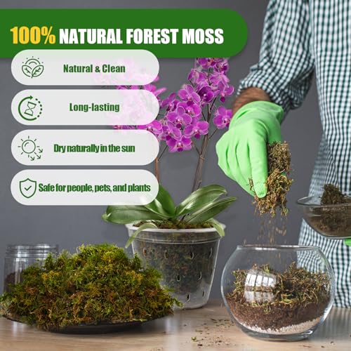 Doter Carnivorous Plant Soil Mix 1qt and Dried Forest Moss for Plants 5 qt